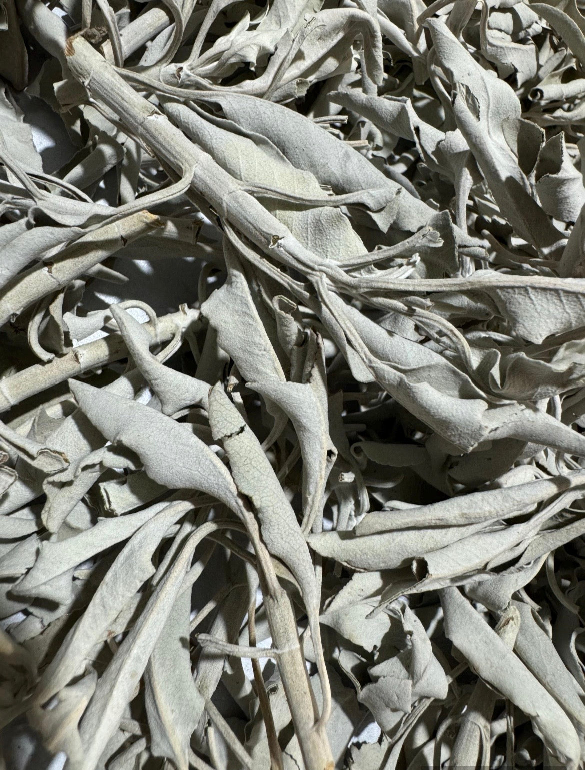 White Sage Clusters