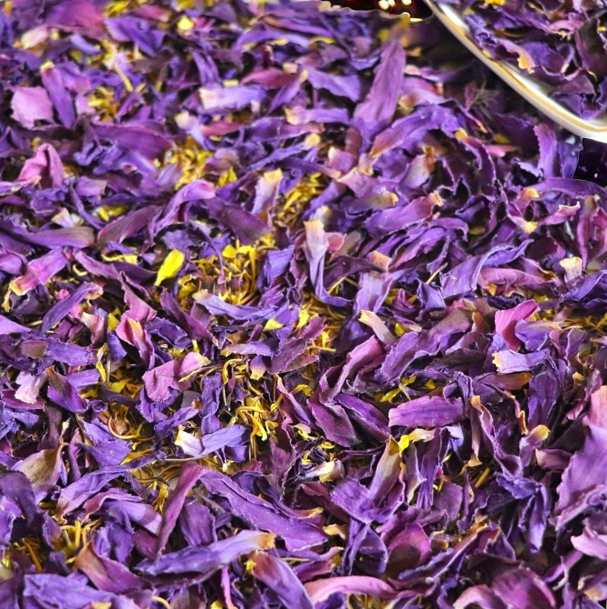 Blue lotus Petals
