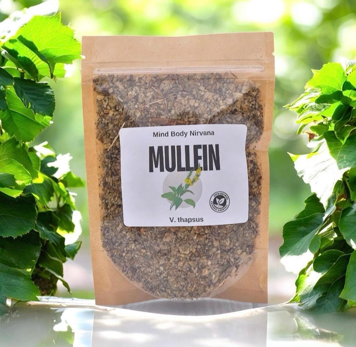 Mullein