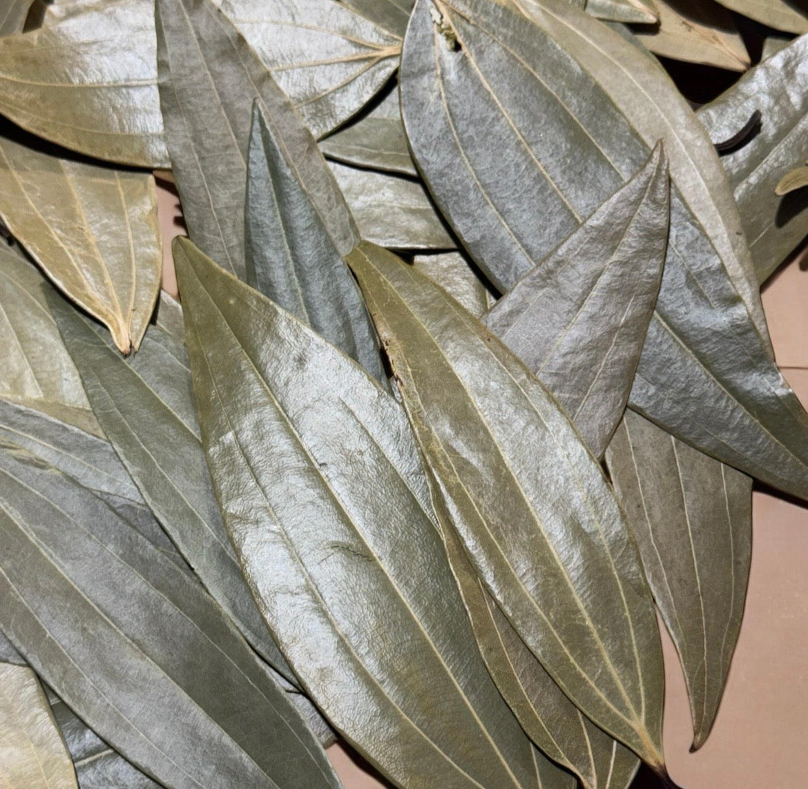 Indian Bay Leaves