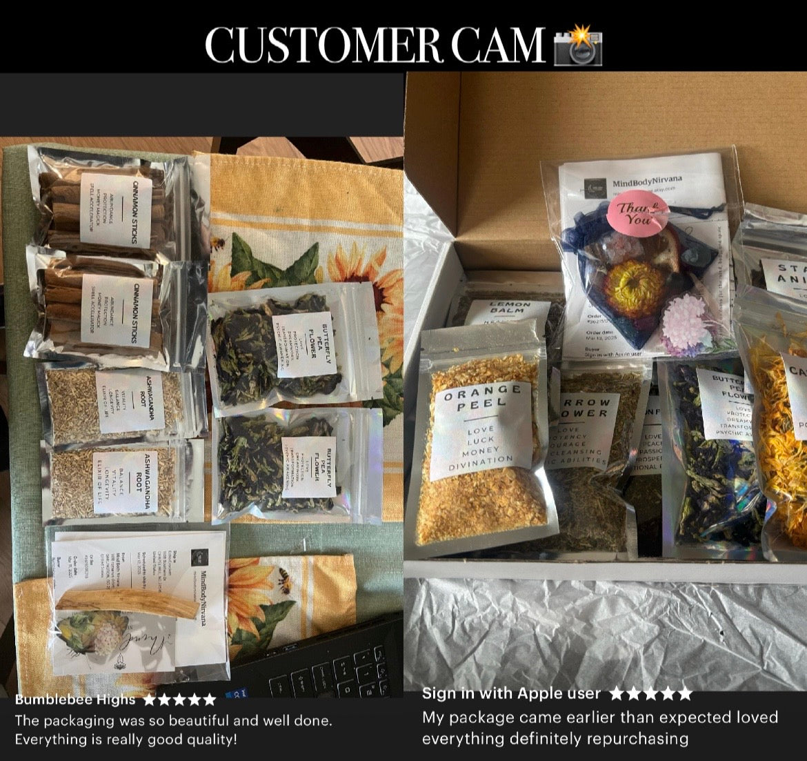 Beginner Herb kit • 50 + herbs